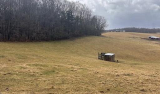 Photo #1 of VINEGAR HILL RD, CHURCHVILLE, VA 1.0 acres