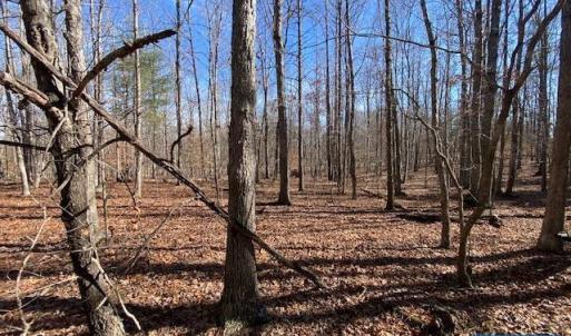 Photo #5 of PINEHURST DR, GORDONSVILLE, VA 0.5 acres