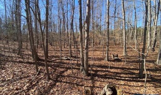 Photo #3 of PINEHURST DR, GORDONSVILLE, VA 0.5 acres