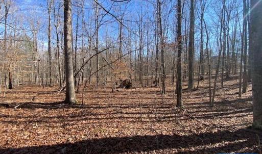 Photo #4 of PINEHURST DR, GORDONSVILLE, VA 0.5 acres