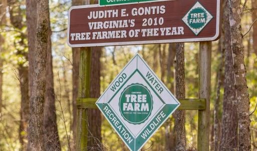 Photo #64 of 358 COUNTY LINE LN, BROADWAY, VA 751.1 acres