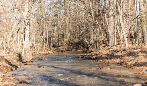 Photo #27 of 358 COUNTY LINE LN, BROADWAY, VA 751.1 acres