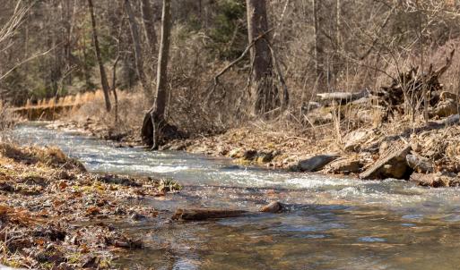 Photo #29 of 358 COUNTY LINE LN, BROADWAY, VA 751.1 acres