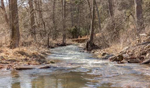 Photo #28 of 358 COUNTY LINE LN, BROADWAY, VA 751.1 acres