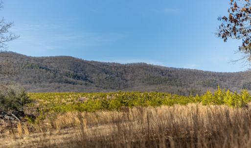 Photo #74 of 358 COUNTY LINE LN, BROADWAY, VA 751.1 acres