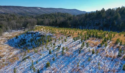 Photo #19 of 358 COUNTY LINE LN, BROADWAY, VA 751.1 acres