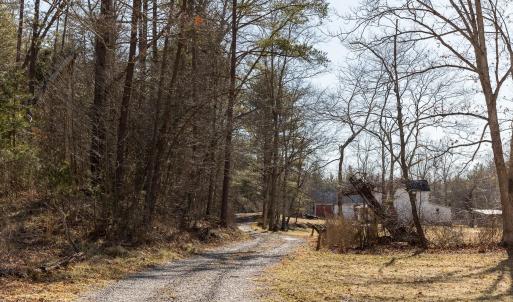Photo #31 of 358 COUNTY LINE LN, BROADWAY, VA 751.1 acres