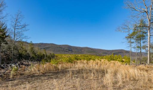 Photo #73 of 358 COUNTY LINE LN, BROADWAY, VA 751.1 acres