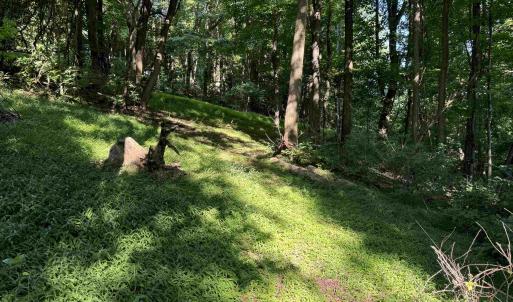 Photo #7 of TBD WHISPERING LN, STANLEY, VA 1.6 acres