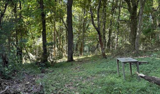 Photo #10 of TBD WHISPERING LN, STANLEY, VA 1.6 acres