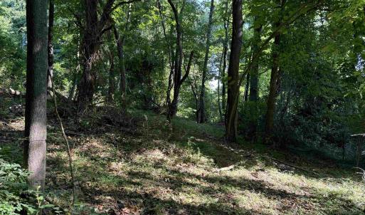 Photo #12 of TBD WHISPERING LN, STANLEY, VA 1.6 acres