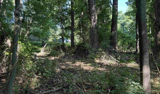 Photo #11 of TBD WHISPERING LN, STANLEY, VA 1.6 acres