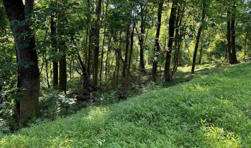 Photo #8 of TBD WHISPERING LN, STANLEY, VA 1.6 acres