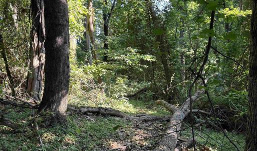 Photo #13 of TBD WHISPERING LN, STANLEY, VA 1.6 acres