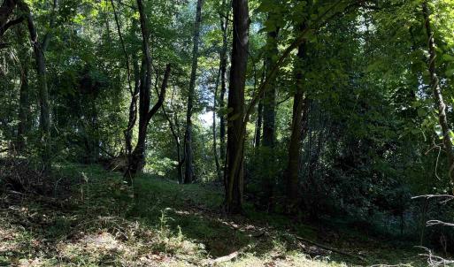 Photo #14 of TBD WHISPERING LN, STANLEY, VA 1.6 acres