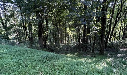 Photo #9 of TBD WHISPERING LN, STANLEY, VA 1.6 acres