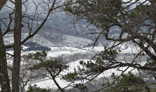 Photo #25 of CHURCH MOUNTAIN LN, FULKS RUN, VA 289.0 acres