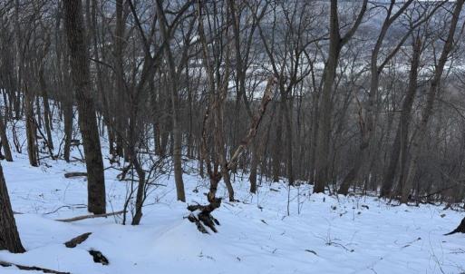 Photo #13 of CHURCH MOUNTAIN LN, FULKS RUN, VA 289.0 acres
