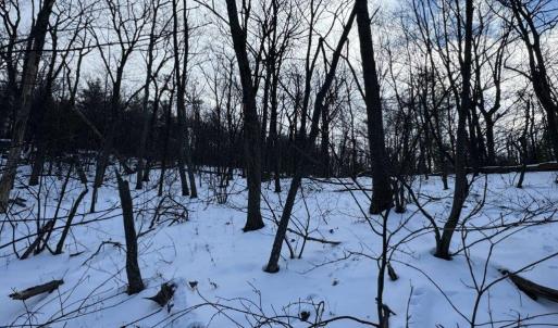 Photo #30 of CHURCH MOUNTAIN LN, FULKS RUN, VA 289.0 acres