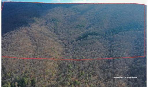 Photo #1 of CHURCH MOUNTAIN LN, FULKS RUN, VA 289.0 acres