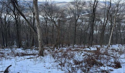 Photo #14 of CHURCH MOUNTAIN LN, FULKS RUN, VA 289.0 acres