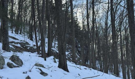 Photo #35 of CHURCH MOUNTAIN LN, FULKS RUN, VA 289.0 acres