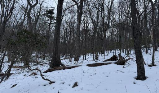 Photo #27 of CHURCH MOUNTAIN LN, FULKS RUN, VA 289.0 acres