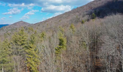 Photo #17 of CHURCH MOUNTAIN LN, FULKS RUN, VA 289.0 acres