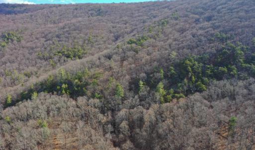 Photo #10 of CHURCH MOUNTAIN LN, FULKS RUN, VA 289.0 acres