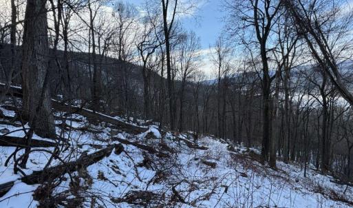 Photo #39 of CHURCH MOUNTAIN LN, FULKS RUN, VA 289.0 acres