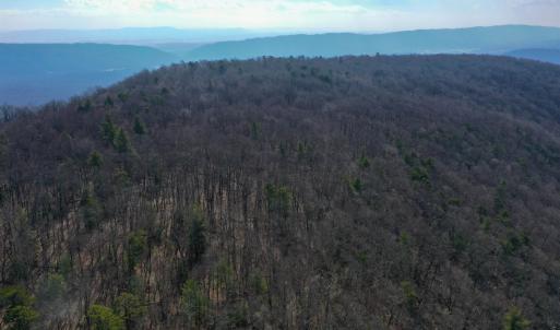 Photo #5 of CHURCH MOUNTAIN LN, FULKS RUN, VA 289.0 acres