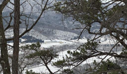 Photo #26 of CHURCH MOUNTAIN LN, FULKS RUN, VA 289.0 acres