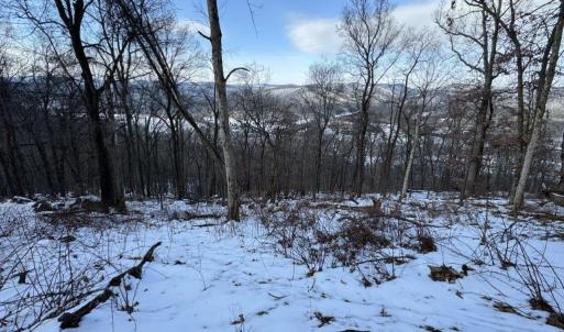 Photo #12 of CHURCH MOUNTAIN LN, FULKS RUN, VA 289.0 acres
