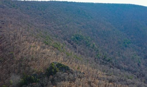 Photo #11 of CHURCH MOUNTAIN LN, FULKS RUN, VA 289.0 acres