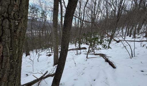 Photo #28 of CHURCH MOUNTAIN LN, FULKS RUN, VA 289.0 acres