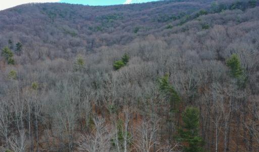 Photo #16 of CHURCH MOUNTAIN LN, FULKS RUN, VA 289.0 acres