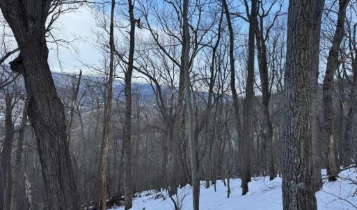 Photo #32 of CHURCH MOUNTAIN LN, FULKS RUN, VA 289.0 acres