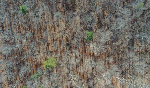 Photo #20 of CHURCH MOUNTAIN LN, FULKS RUN, VA 289.0 acres