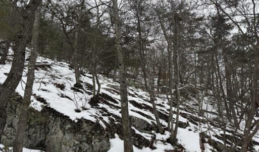 Photo #15 of CHURCH MOUNTAIN LN, FULKS RUN, VA 289.0 acres