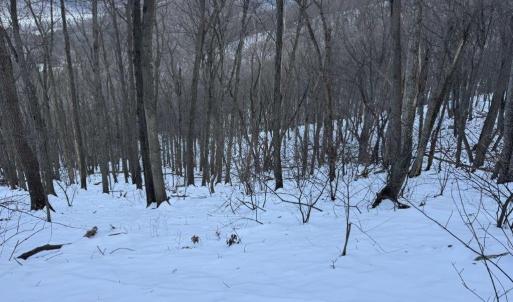 Photo #34 of CHURCH MOUNTAIN LN, FULKS RUN, VA 289.0 acres