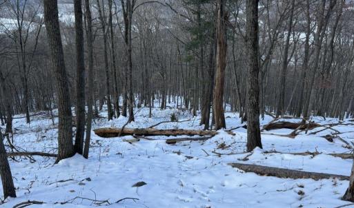 Photo #40 of CHURCH MOUNTAIN LN, FULKS RUN, VA 289.0 acres