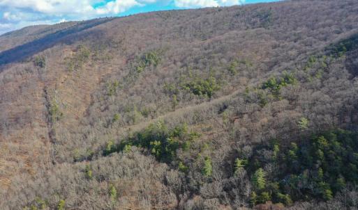 Photo #4 of CHURCH MOUNTAIN LN, FULKS RUN, VA 289.0 acres