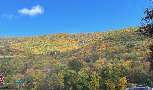 Photo #2 of CHURCH MOUNTAIN LN, FULKS RUN, VA 289.0 acres