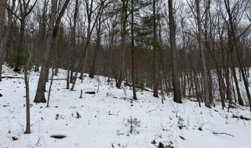 Photo #21 of CHURCH MOUNTAIN LN, FULKS RUN, VA 289.0 acres