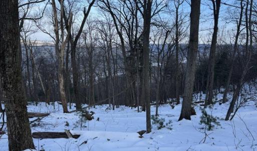 Photo #29 of CHURCH MOUNTAIN LN, FULKS RUN, VA 289.0 acres