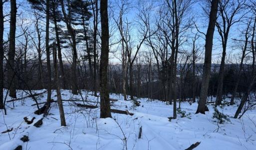 Photo #6 of CHURCH MOUNTAIN LN, FULKS RUN, VA 289.0 acres