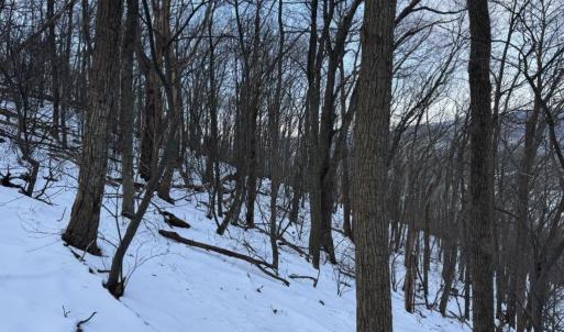 Photo #33 of CHURCH MOUNTAIN LN, FULKS RUN, VA 289.0 acres