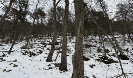 Photo #24 of CHURCH MOUNTAIN LN, FULKS RUN, VA 289.0 acres