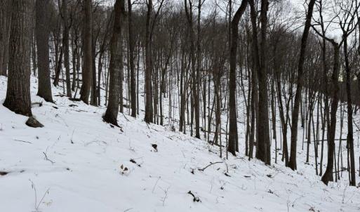 Photo #23 of CHURCH MOUNTAIN LN, FULKS RUN, VA 289.0 acres