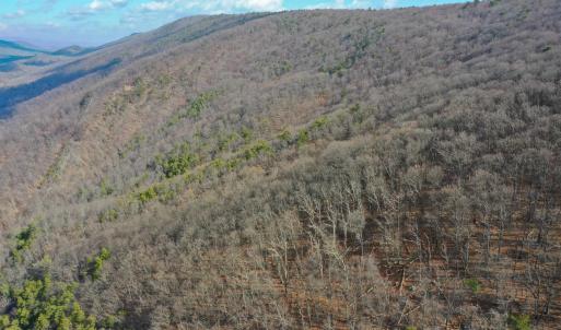 Photo #9 of CHURCH MOUNTAIN LN, FULKS RUN, VA 289.0 acres